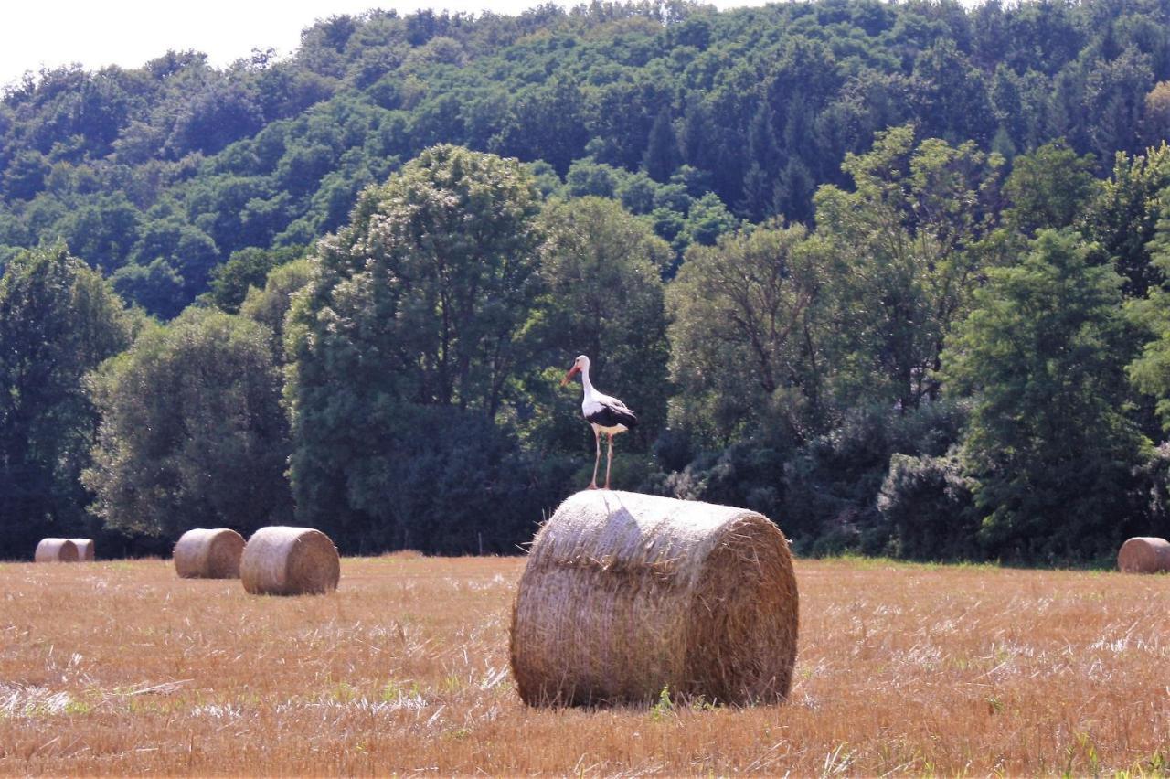 Naturpark Vendeghaz Alsoszolnok Exterior foto